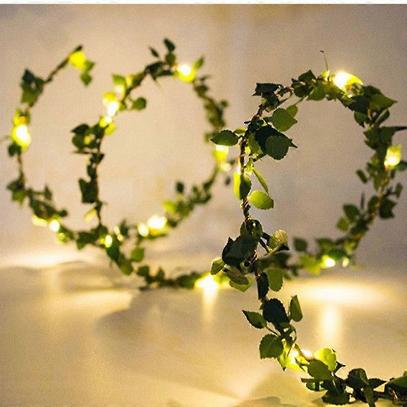 hedera jacobine Hedera helix 'Jacobine'