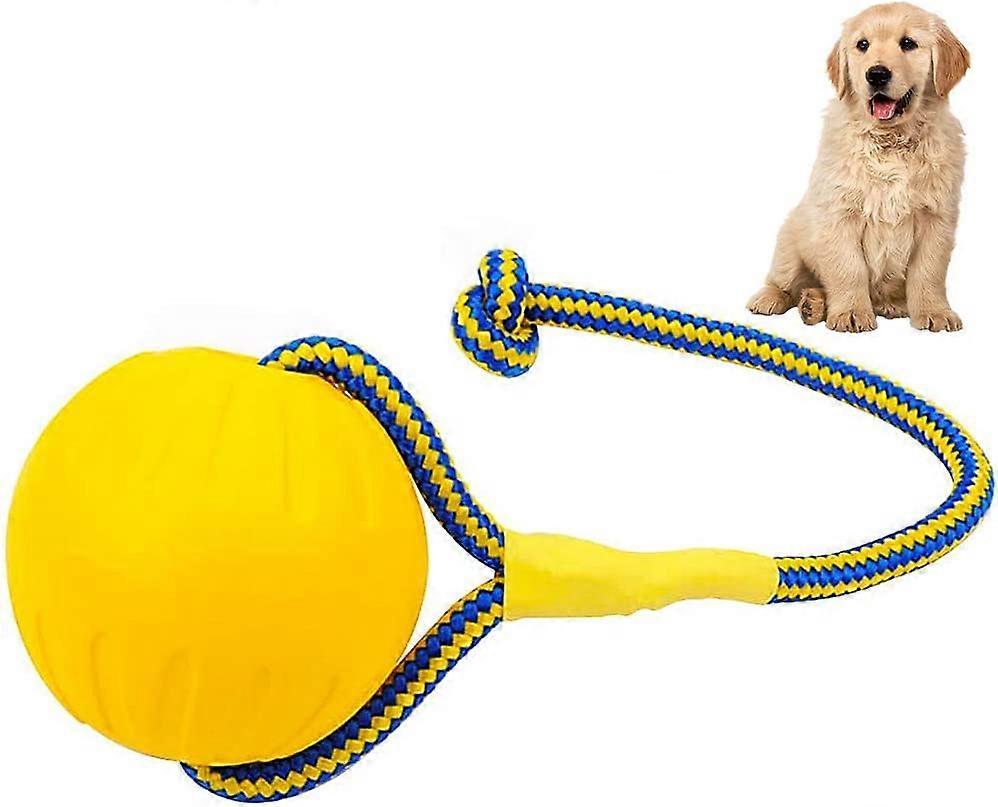Dog Training Ball On Leash - Exercise And Reward Toy For Dogs