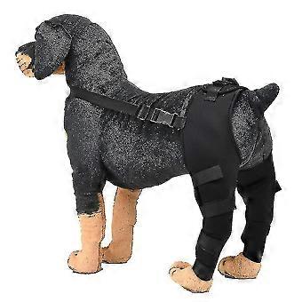 Coudière de protection réglable pour chien, protège-pattes arrières