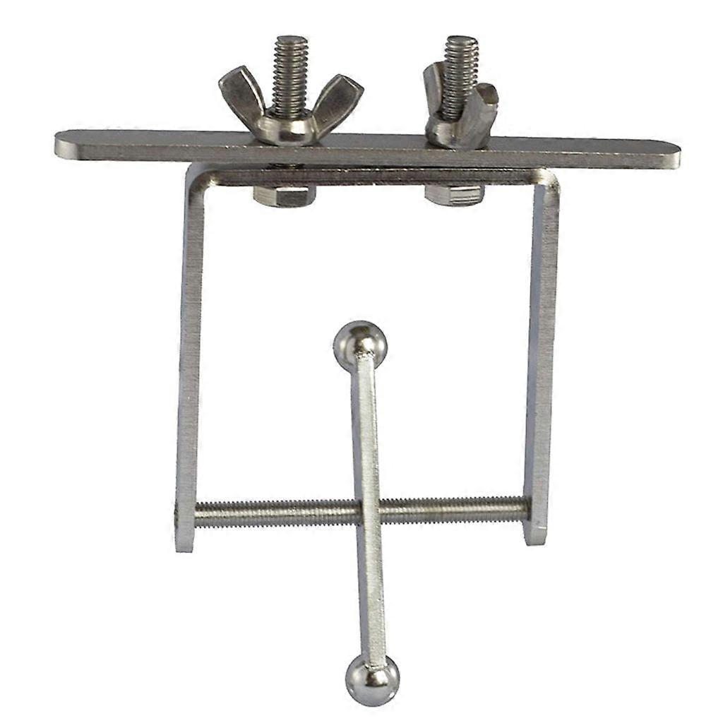 Bird Parrot Stand Toy with Traveling Spinner Spins on Axis Brain Teaser and Mind