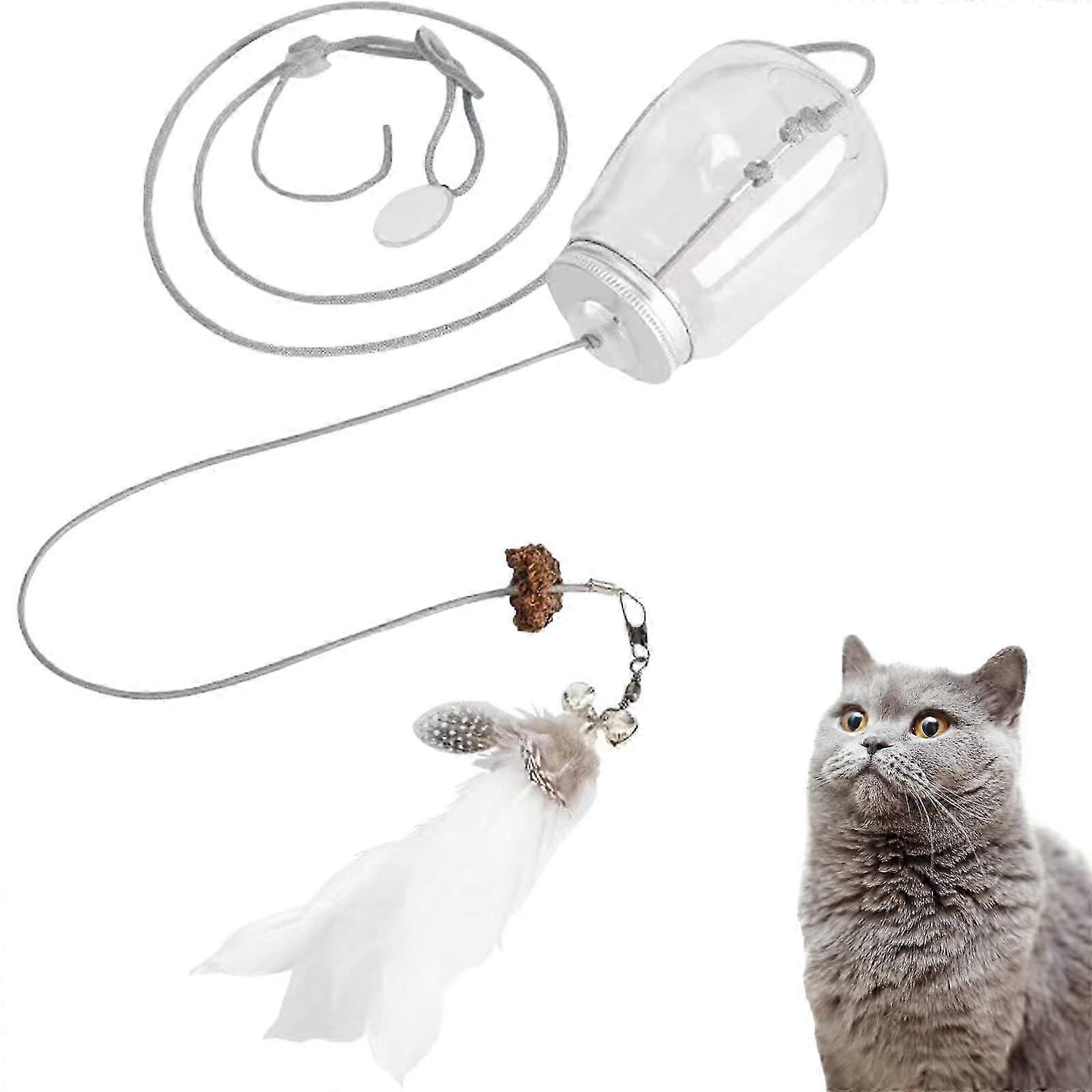 Evcil Hayvanlar için İnteraktif Kedi Maması Yapboz Oyuncak Kutusu