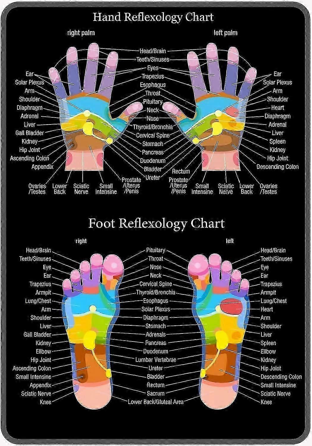 اليد ريفلكسولوجي الرسم البياني معدن القصدير تسجيل 8x12 بوصة أو 12x16 بوصة خمر الرجعية تسجيل ديكور لشريط البيت
