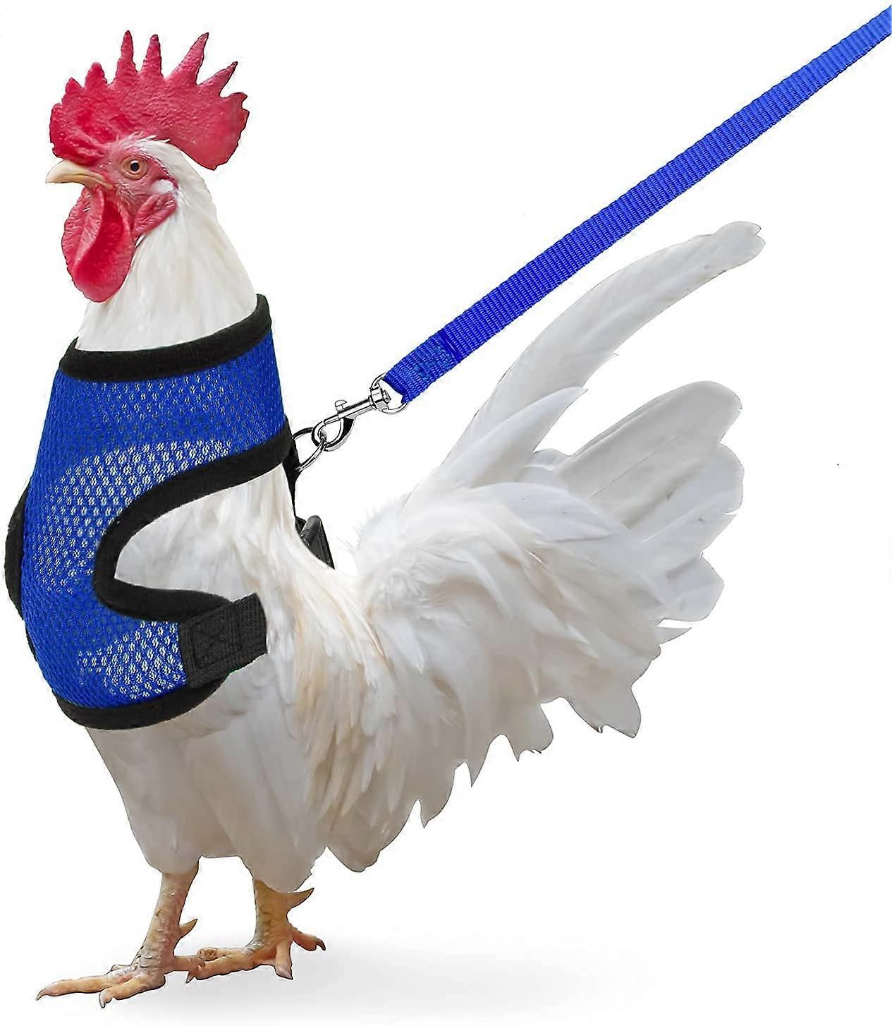 Chicken Harness with Leash, Adjustable Leash for Chickens, Ducks, and Small Puppies, Durable and Comfortable Design