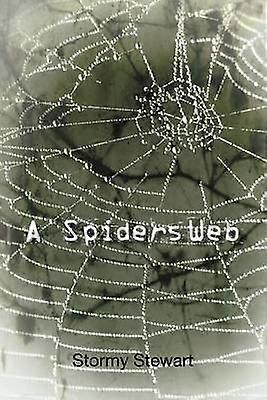 A Spiders Web