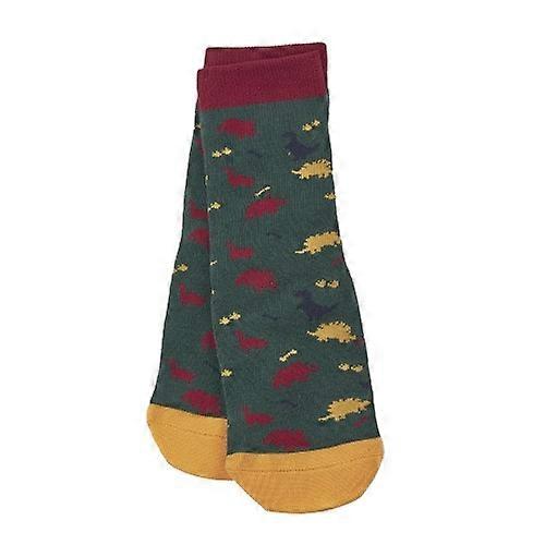 Tikaboo Childrens/Kids Dinosaur Long Length Socks
