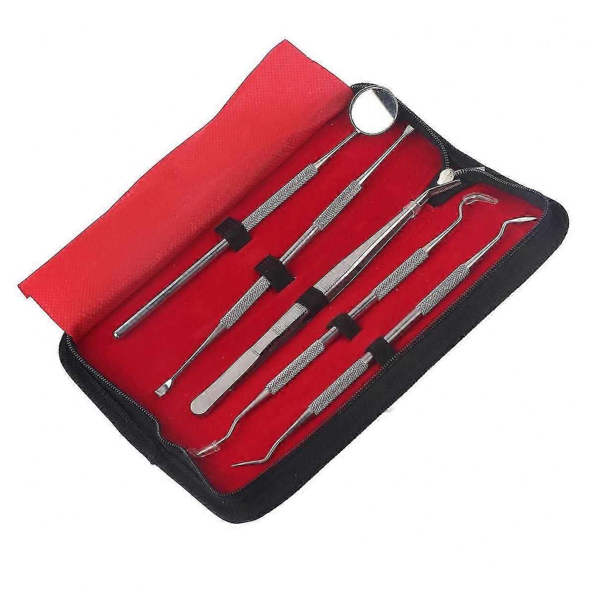 5Pcs Professional Stainless Steel Dental Cleaning Kit