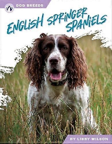 Engelse Springer Spaniels