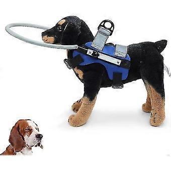 pet safety halo for blind dogs and cats