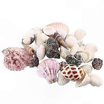 Nautical Home & Aquarium Decor Seashells, 200g Mixed Shell Collection for Crafts