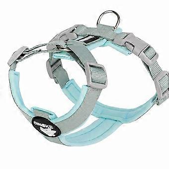 Adjustable Y-Shaped Dog Harness Vest, Two-Tone Nylon Pet Harness with Double D-Rings for Small and Medium Dogs