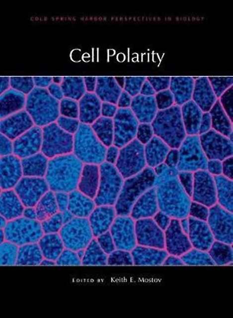 Cell Polarity - Perspectives Cshl - Keith E - Developmental biology - Cold Spring Harbor Laboratory Press,U.S - Hardback