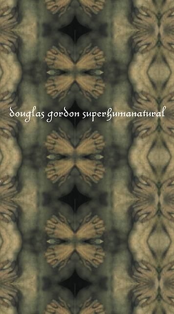 Douglas Gordon by Douglas Gordon Hardback Book