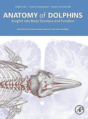 Anatomy of Dolphins