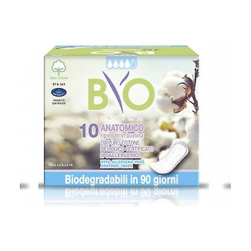 Anatomical Absorbents Cotton - Bio Compostable Cover 10 units