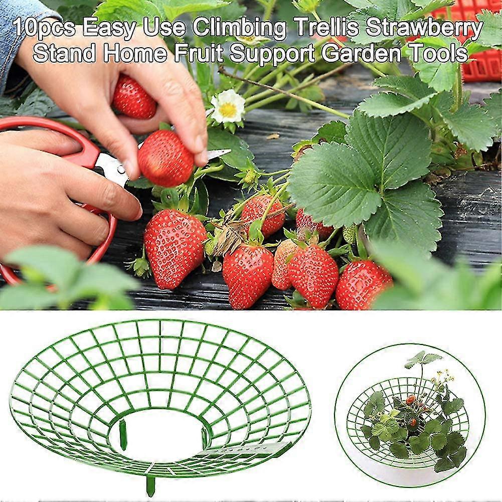 Supports Fruits Légumes Jardin Support à Fruits Et Légumes Anti-limaces UPP – Lot De 5 Grilles Réglables, Diamètre 30-40 Cm, Protection Contre Pourriture