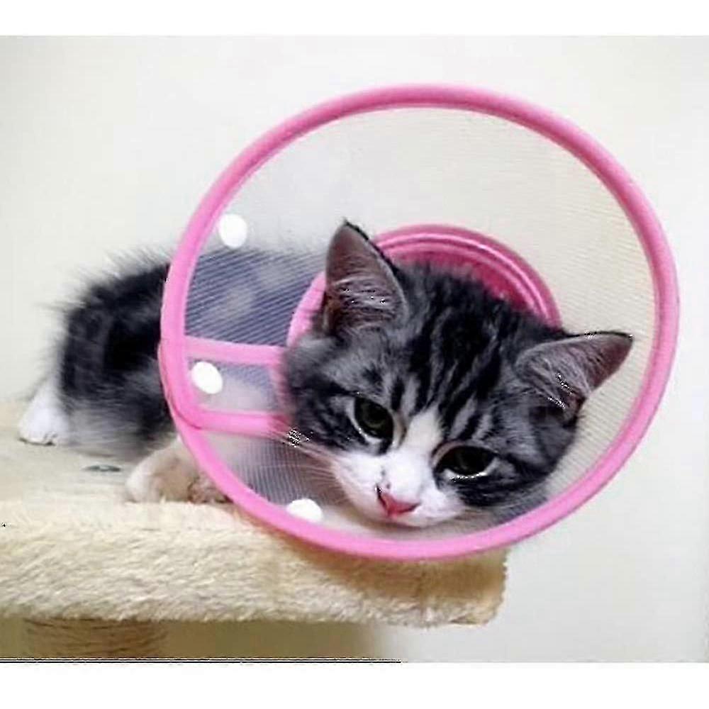 猫と犬の太陽の花医療カラーアンチ咬傷とアンチ舐めペット用品