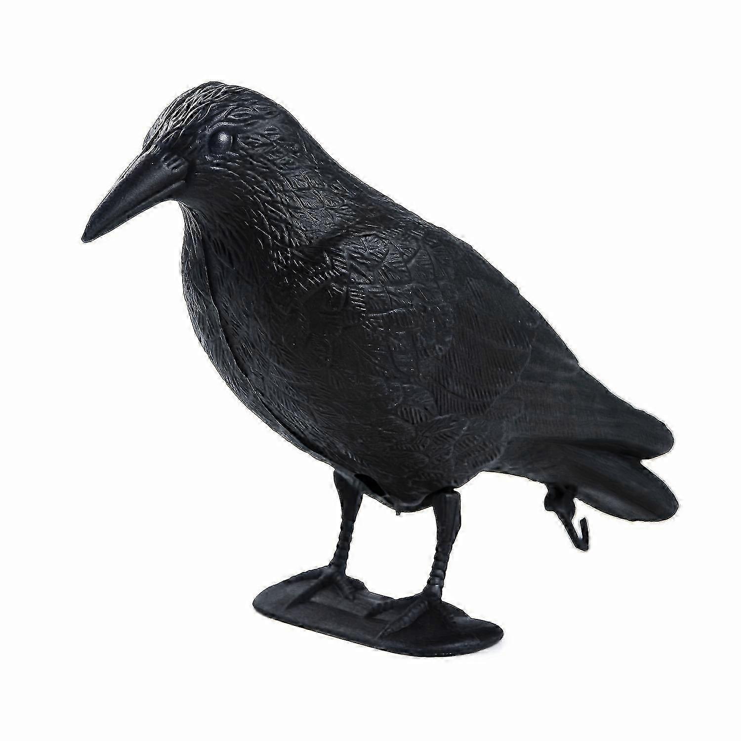 Sistema de control de aves para edificios: detiene palomas y cuervos