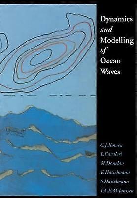 Dynamics  Modelling of Ocean Waves