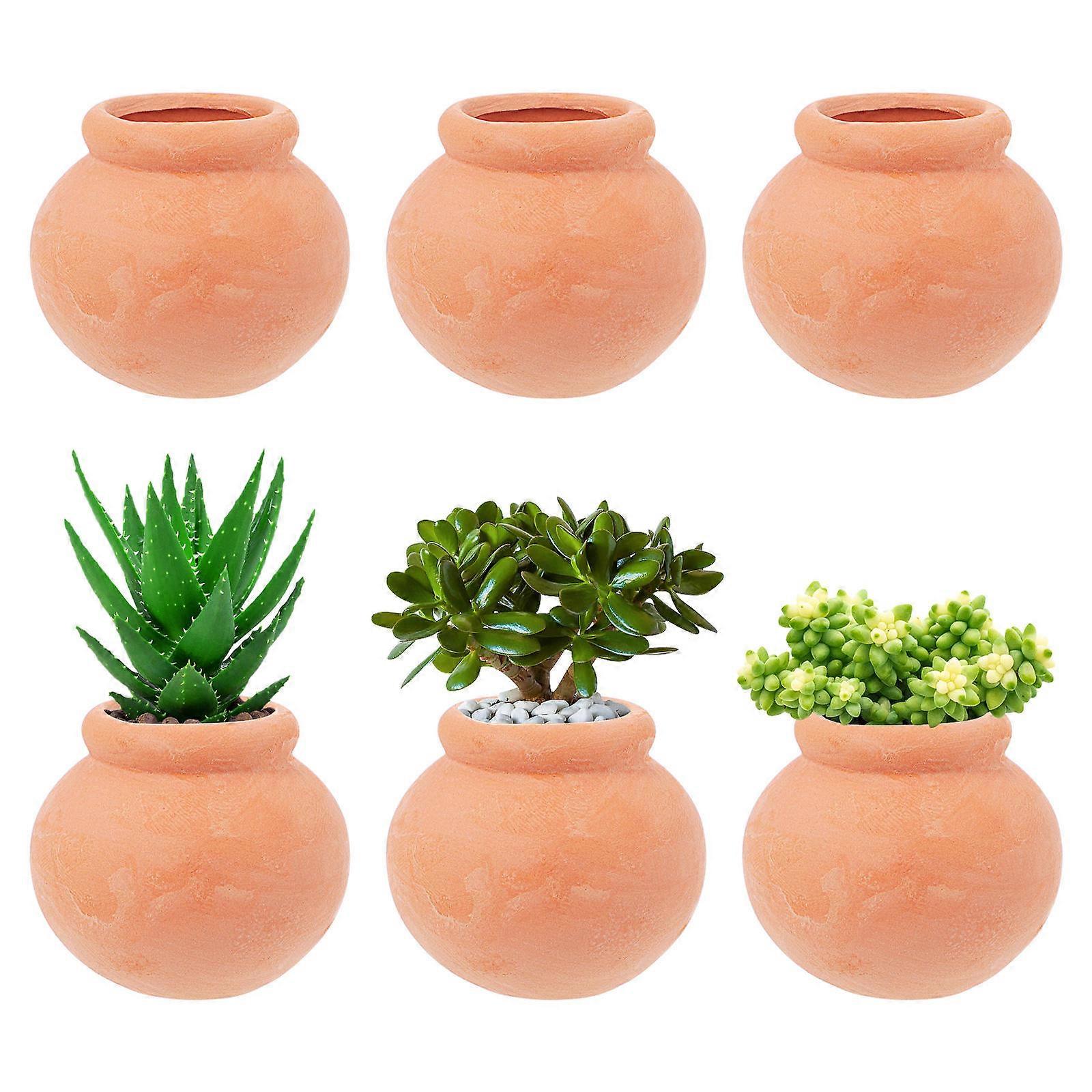 Compact Flowerpots Clay Flower Pot for Storing 30Pcs Mini Plants