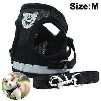 Dog Harness And Leash Set For Dogs, Soft Mesh Padded Harness