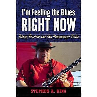 Ik voel me nu bluesachtig: blues toerisme en de Mississippi Delta (American Made Music Series)