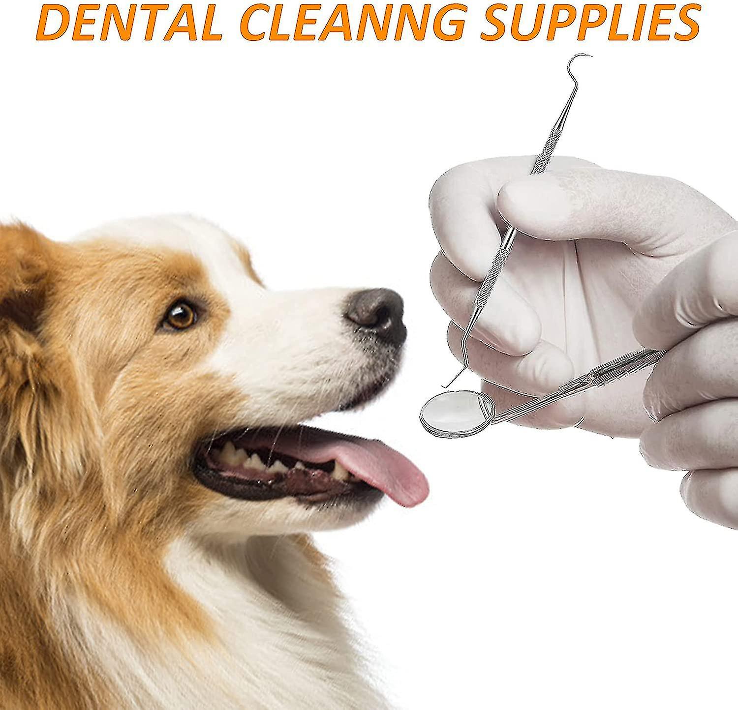 Scaler Dog Tooth Cleaning Kit Stainless Steel Dental Care Set Tooth
