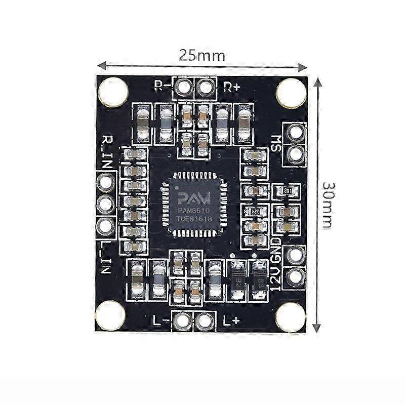 Class D Dual-Channel Amplifier Board