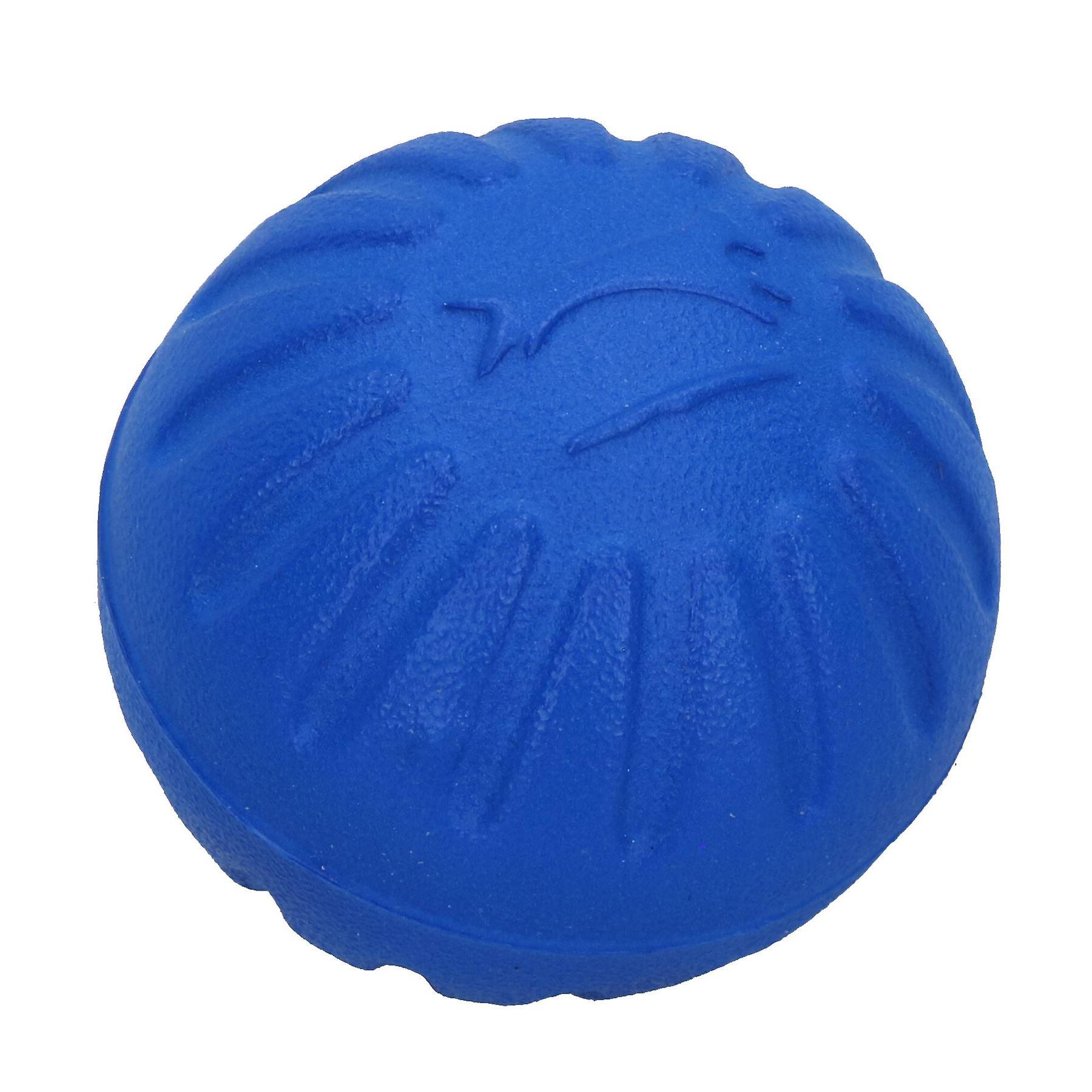 Medium Interactive Play Durafoam Dog Puppy Ball Floating Toy-Assorted Colour