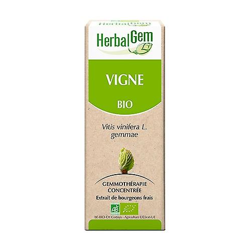 ORGANIC vineyard - 15 ml 15 ml
