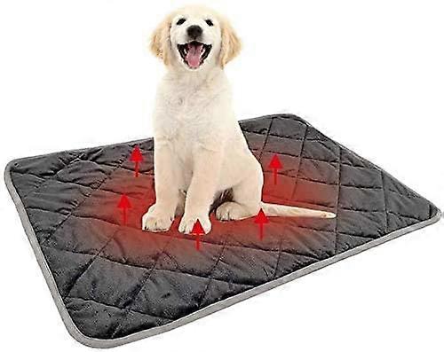 Vaskbar, sklisikker hundematte (grå, L)