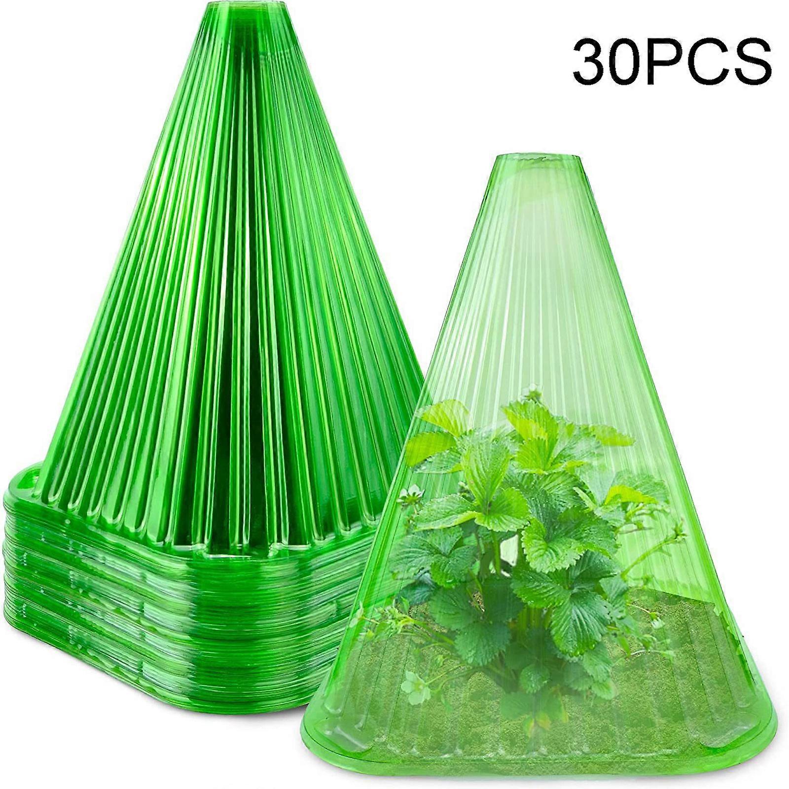 Plant Hats for Protection Against Sun, Frost, Snails etc