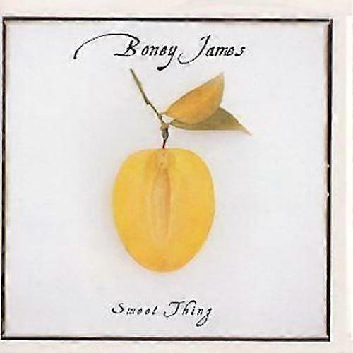 Boney James Sweet Thing CD (1999)