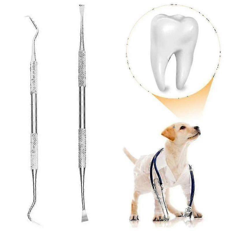 Professional Dental Tools, Dog Dental Tooth Scaler And Scraper 2 Pack