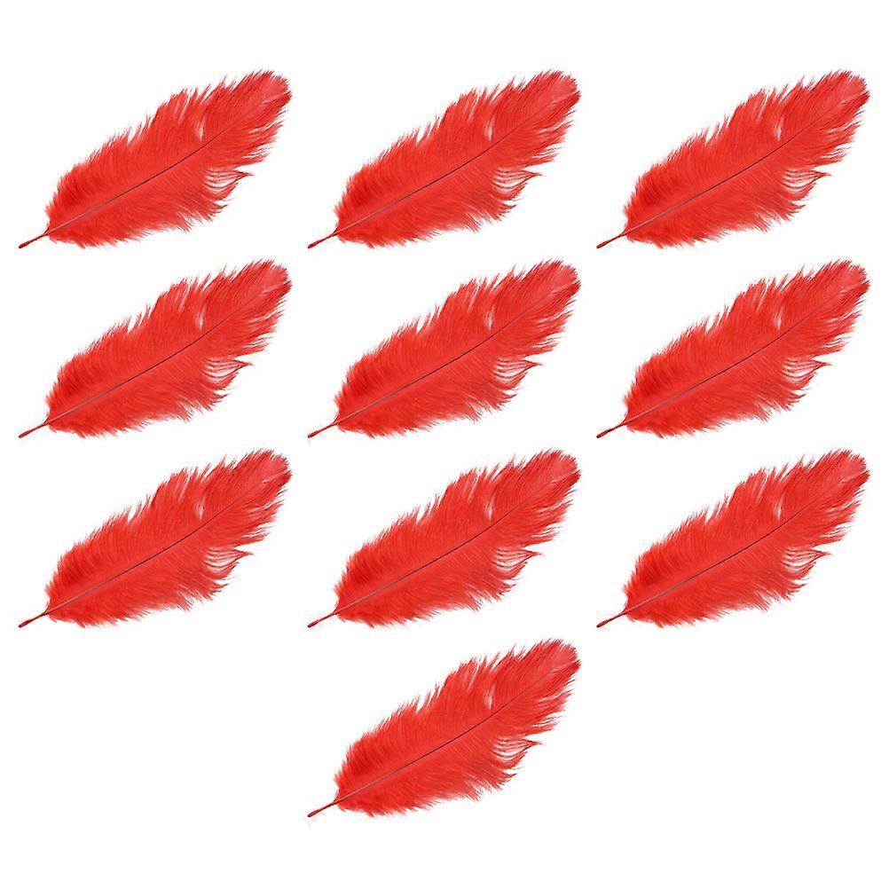 Ostrich for DIY Craft 10Pcs Red Decorative Bundle