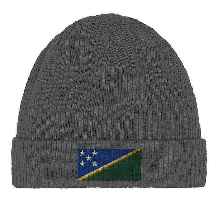 Salomon Flag Cap in Gray