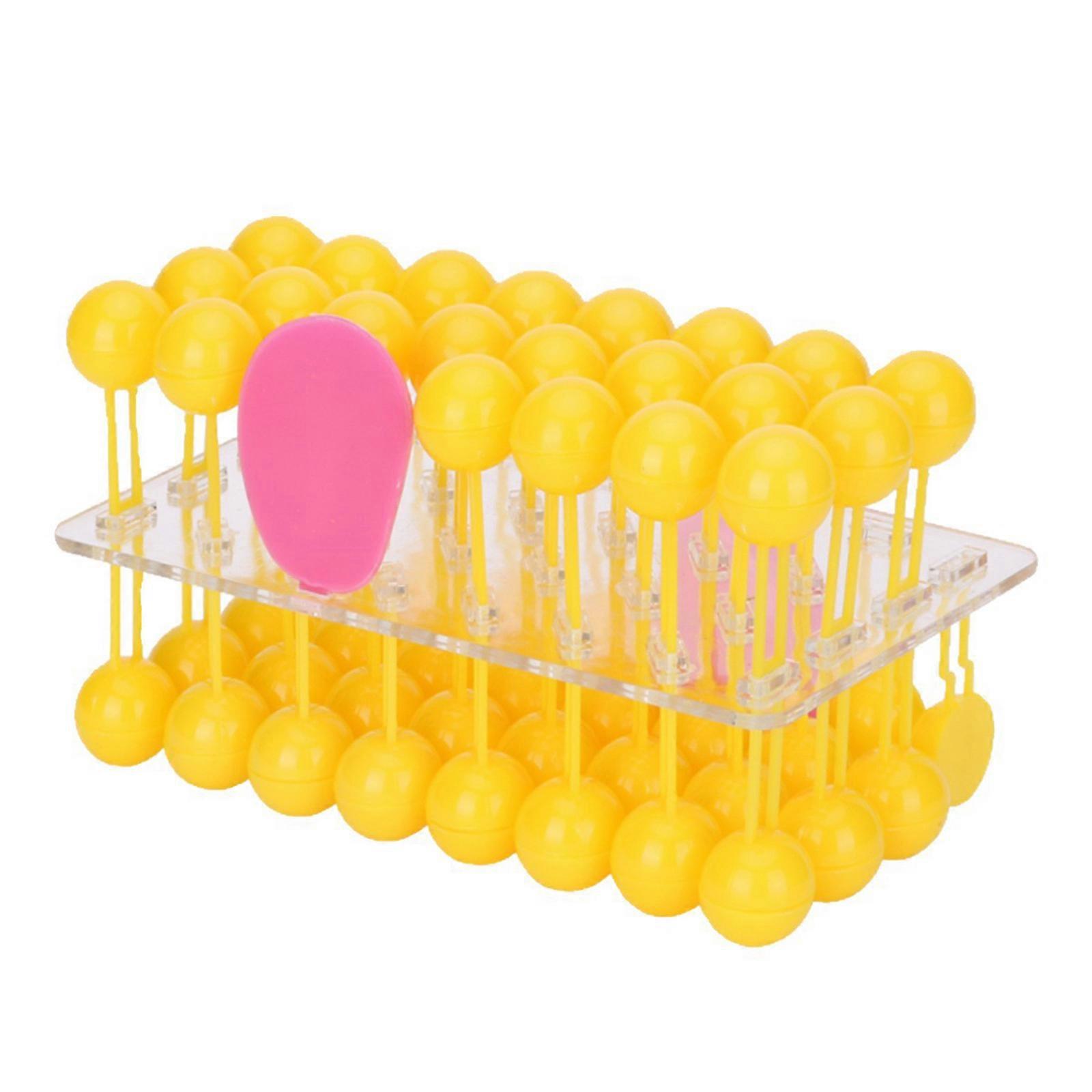 Hands on Assembly Cell Membrane Structure Demonstration For Biology Courses Laboratory Studies And Academic Exhibitions Multicolor