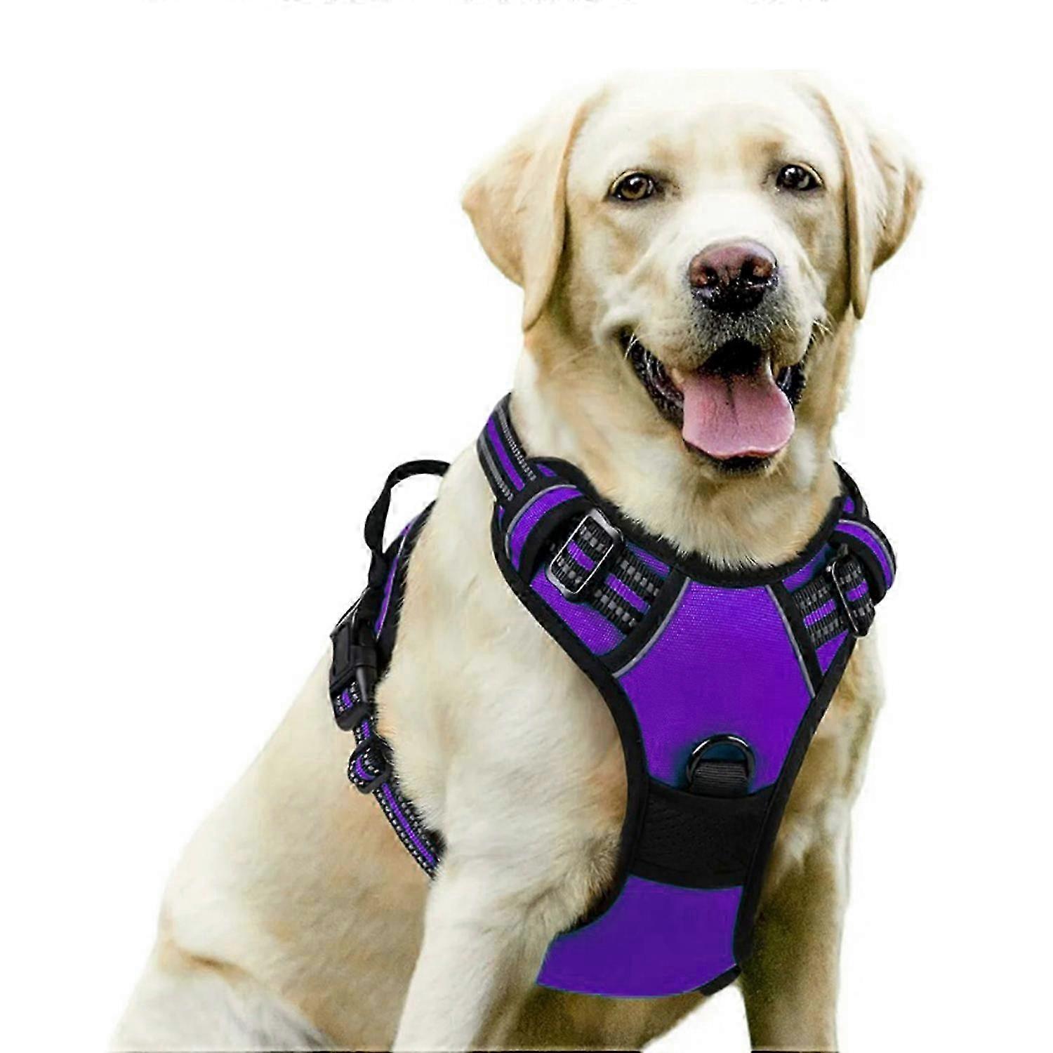 Secure No-Pull Dog Chest Harness