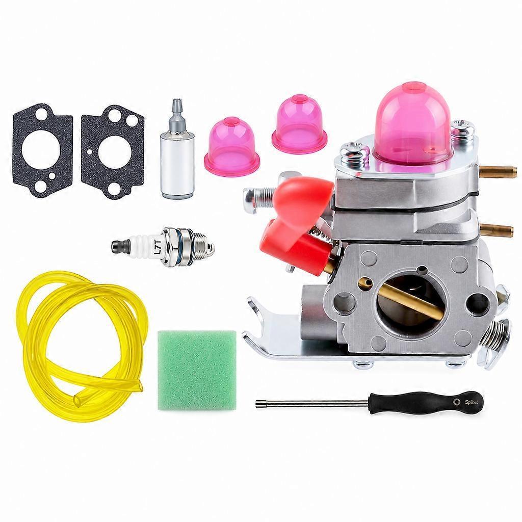 W19 Carburetor Maintenance Kit