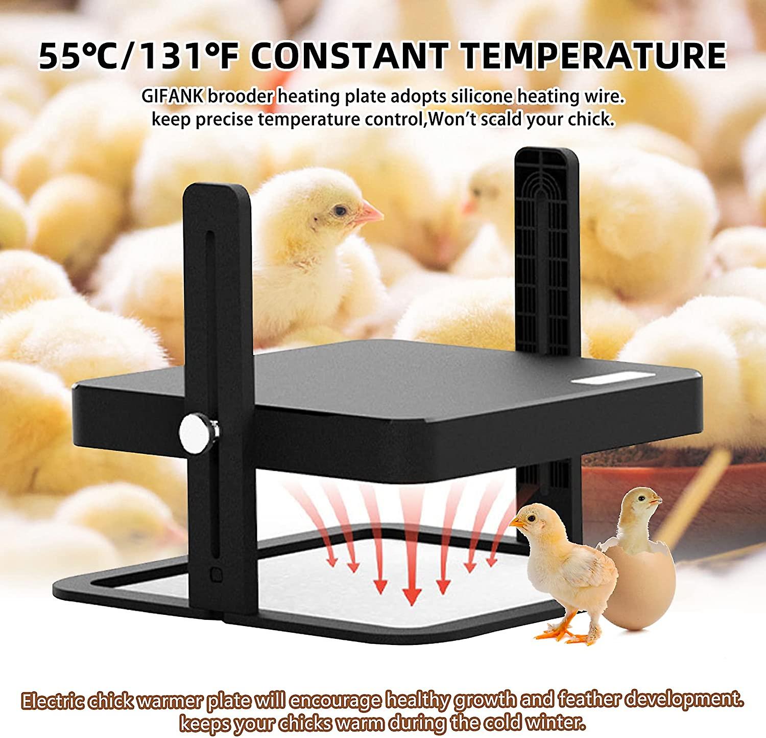 Chicken Brooder Heating Plate For Chicks And Ducklings With Adjustable
