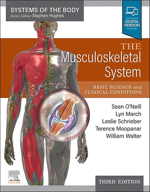The Musculoskeletal System Paperback