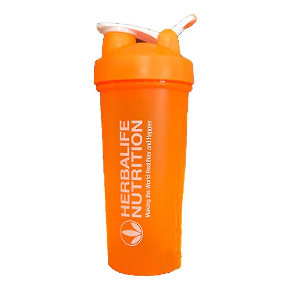 Insulated Stainless Steel Water Bottle With Wire Whisk