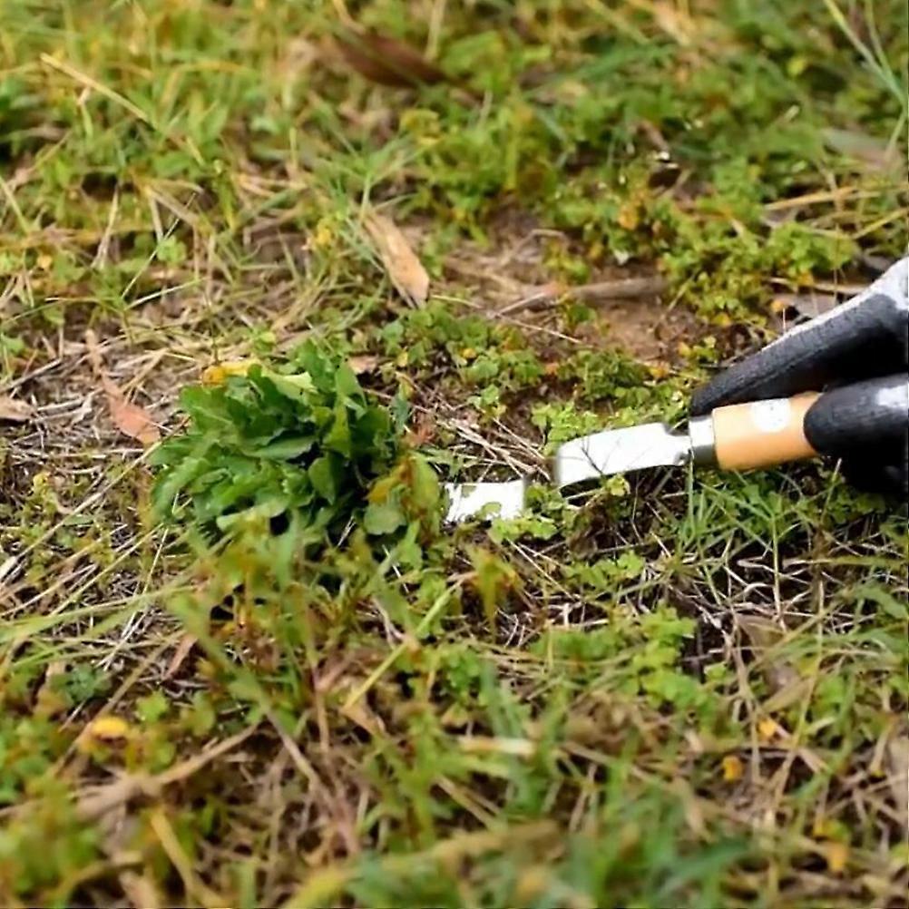 Hand Weeding Fork Manual Weed Extractor Stainless Steel Grass Remover with Long Prongs and Ergonomic Handle
