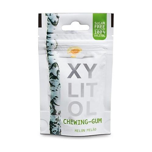 Chewing gums with Xylitol and Melon without Sugar 24 g