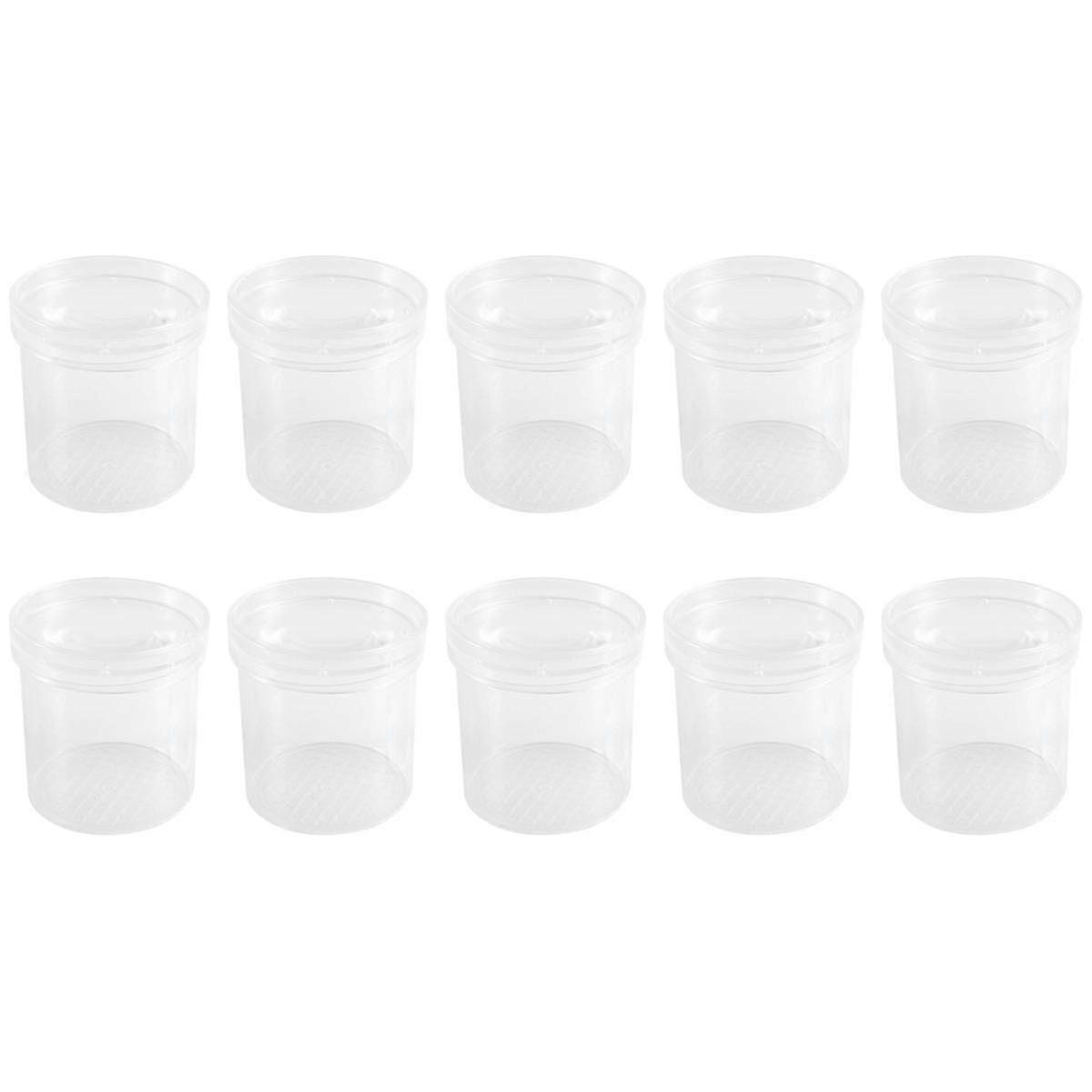 Insect Observation Cup Insect Magnifying Glass Insect Feeding Box Teaching Instrument Natural Obser