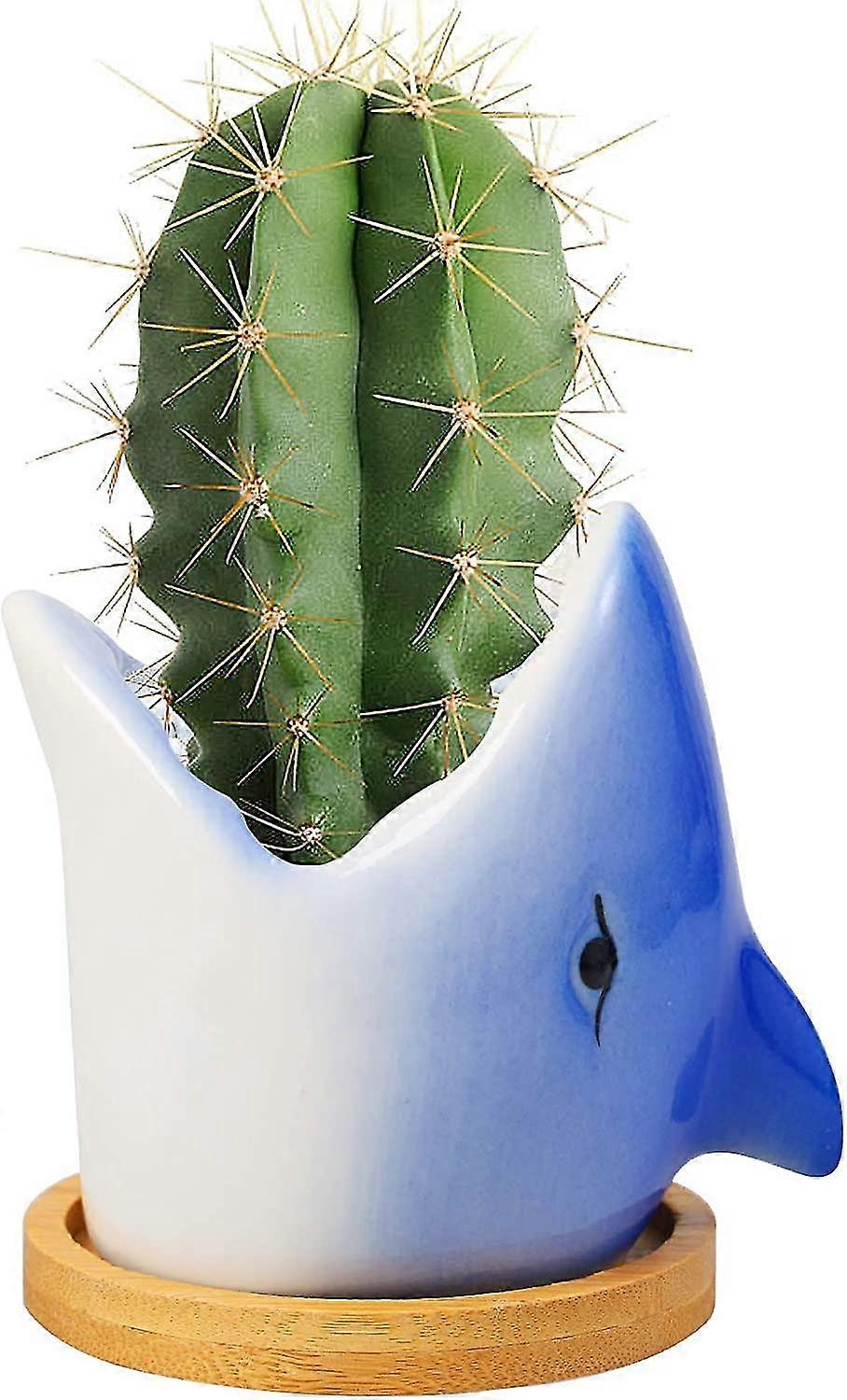 Ceramic Plant Pot Indoor  - shark