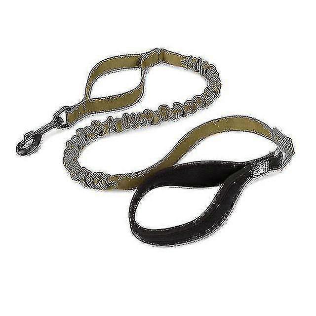 Bungee Dog Leash Nylon Retractable