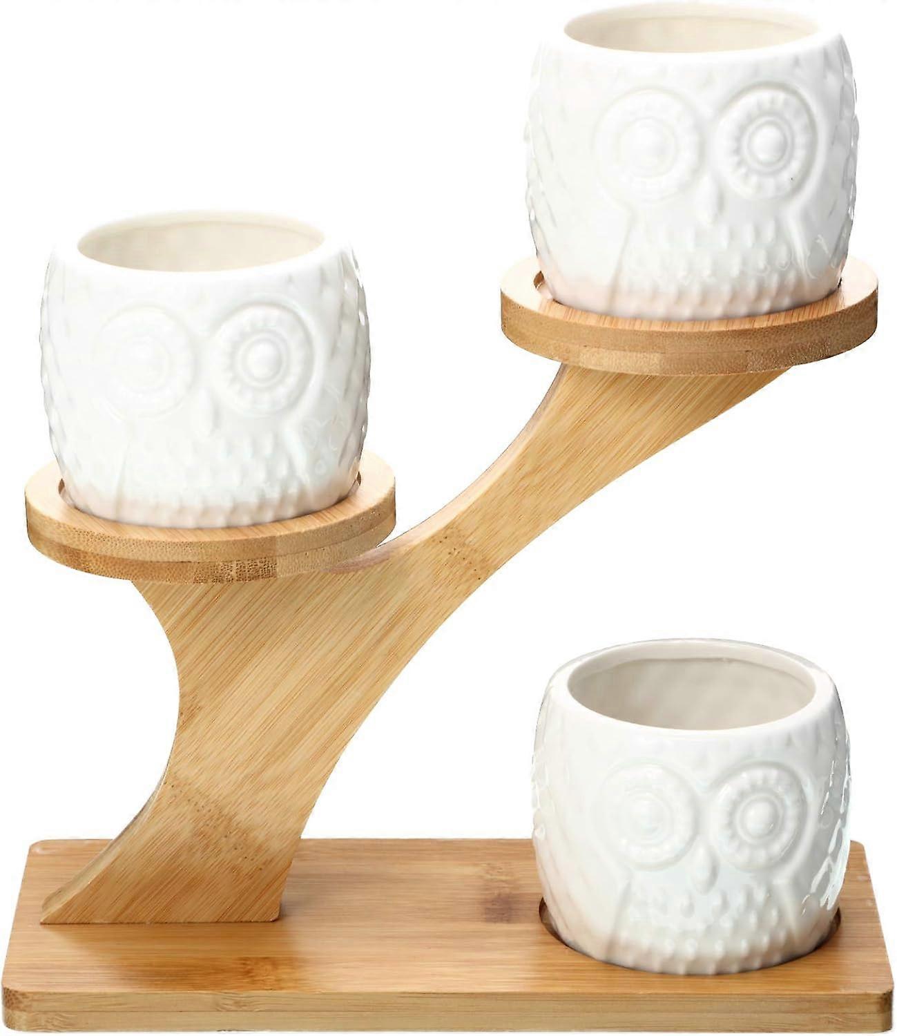 pieces owl flower pots for table decoration