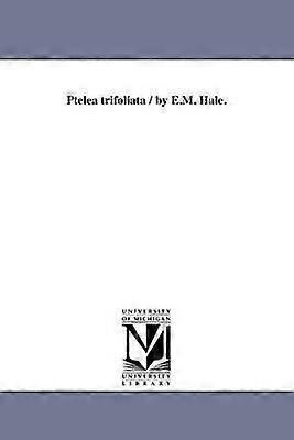 Ptelea trifoliata / av E.M. Hale.