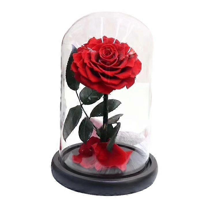 الورد الأحمر الأبدي، زهور الورد الاصطناعية المحفوظة روز، عيد الحب، عيد الأم