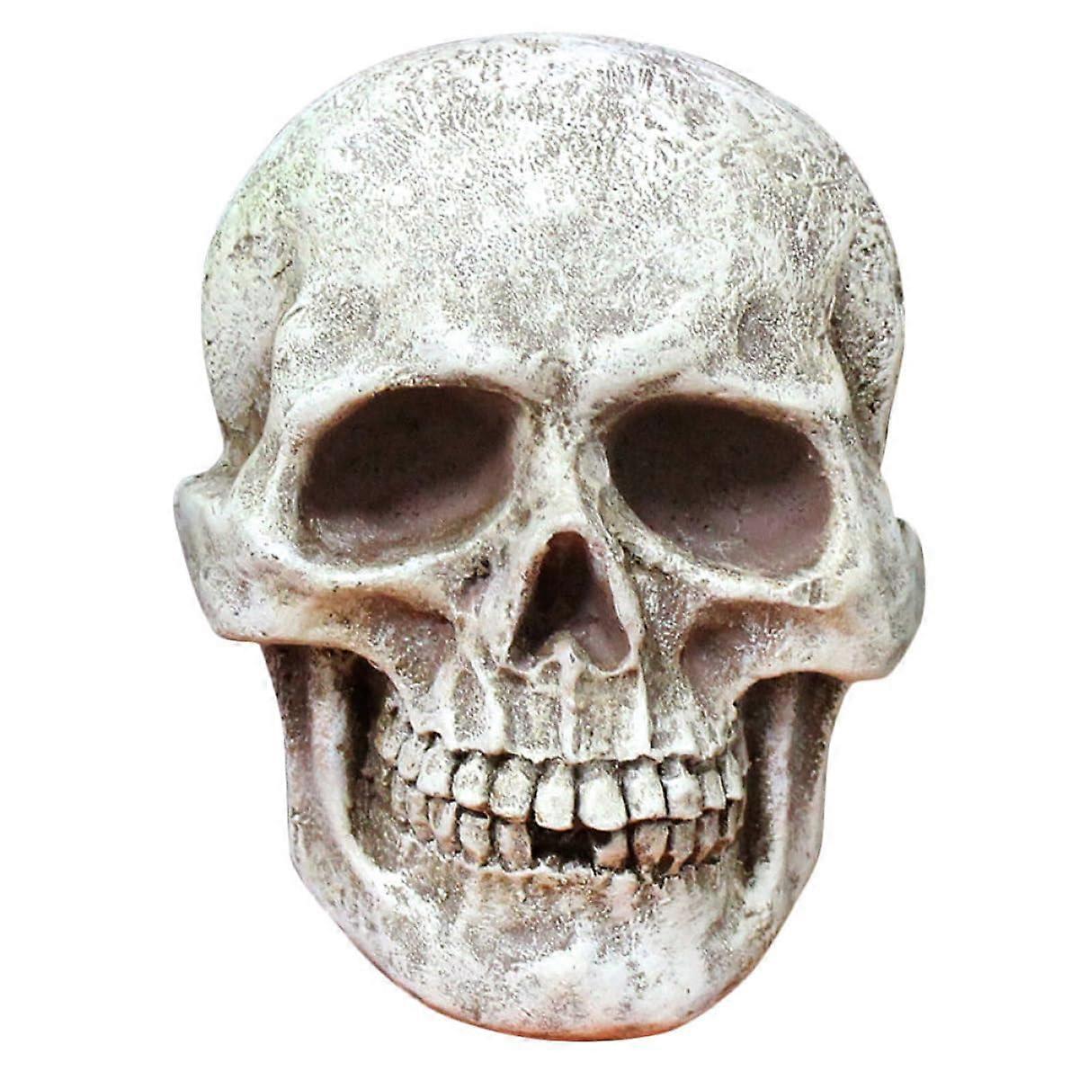 Halloween Skull Ornaments Resin Skull Sculpture Human Skull Decor Halloween Skull Figures for Home